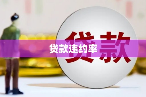 靖边贷款违约率