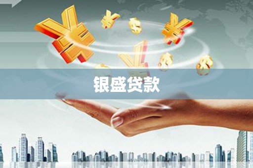 广水银盛贷款