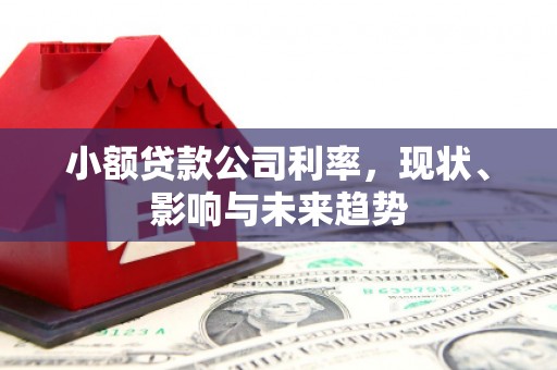 宁波小额贷款公司利率，现状、影响与未来趋势