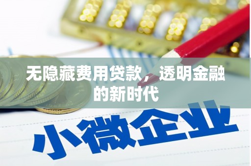 田林无隐藏费用贷款，透明金融的新时代