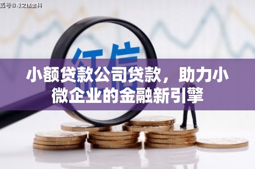正蓝旗小额贷款公司贷款，助力小微企业的金融新引擎