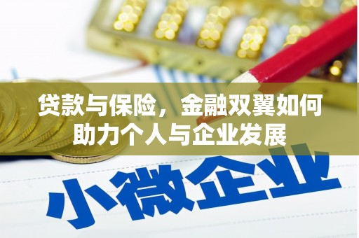 海伦贷款与保险，金融双翼如何助力个人与企业发展