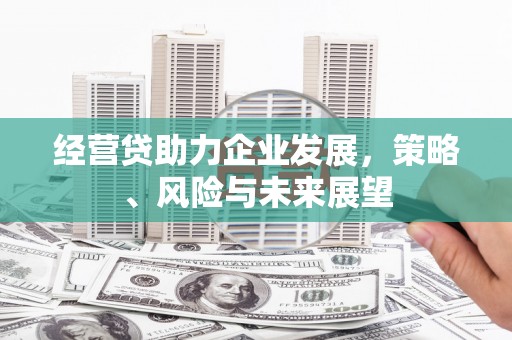 峨边经营贷助力企业发展，策略、风险与未来展望