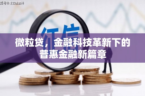 长岭微粒贷，金融科技革新下的普惠金融新篇章