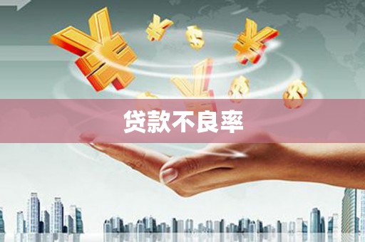 沈北新区贷款不良率