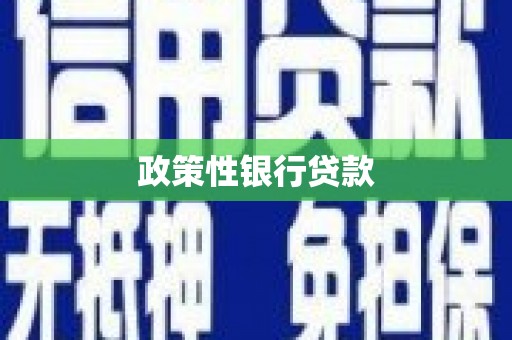 湖里政策性银行贷款