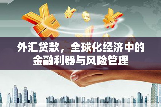 田林外汇贷款，全球化经济中的金融利器与风险管理