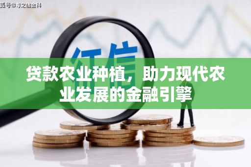 金昌贷款农业种植，助力现代农业发展的金融引擎