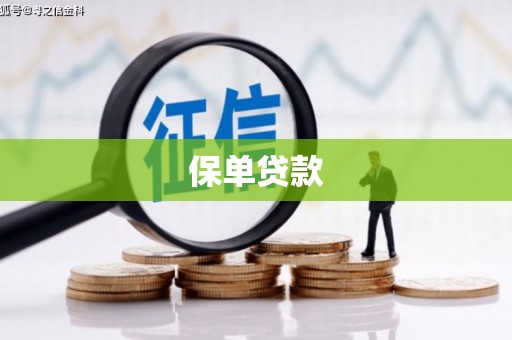 莱城保单贷款