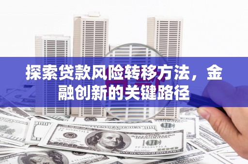 隆昌探索贷款风险转移方法，金融创新的关键路径
