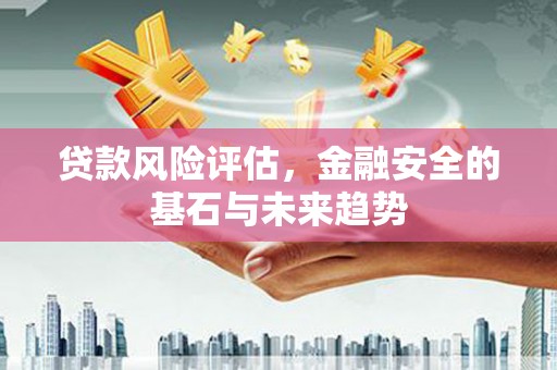 莱山贷款风险评估，金融安全的基石与未来趋势
