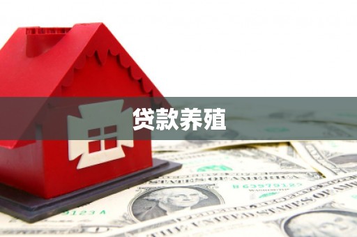 灵宝贷款养殖