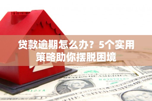苑里贷款逾期怎么办？5个实用策略助你摆脱困境