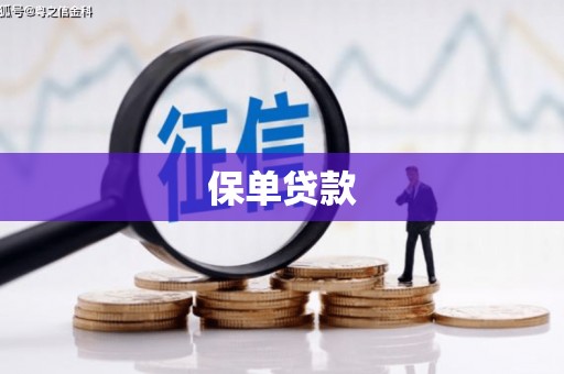 石冈保单贷款