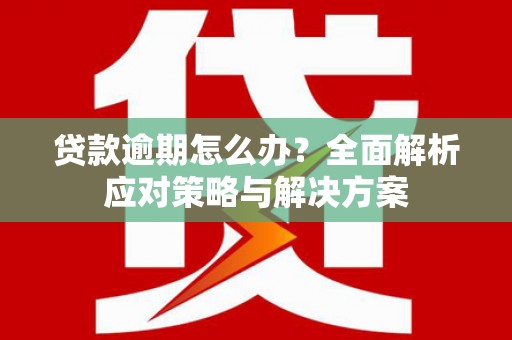 平舆贷款逾期怎么办？全面解析应对策略与解决方案