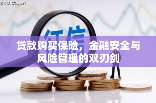 浮梁贷款购买保险，金融安全与风险管理的双刃剑