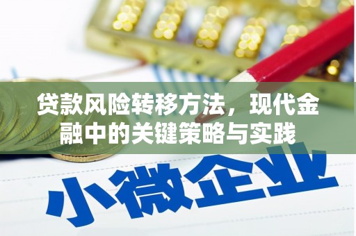 南化贷款风险转移方法，现代金融中的关键策略与实践