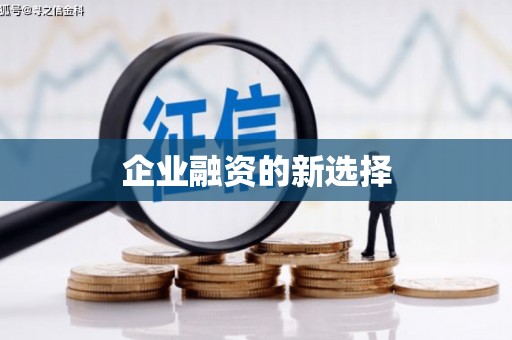 谯城企业融资的新选择
