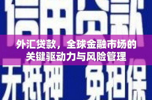 林西外汇贷款，全球金融市场的关键驱动力与风险管理