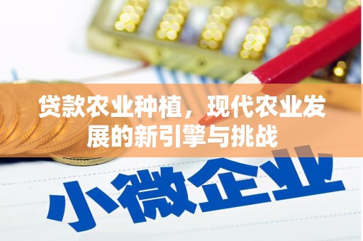 庄浪贷款农业种植，现代农业发展的新引擎与挑战