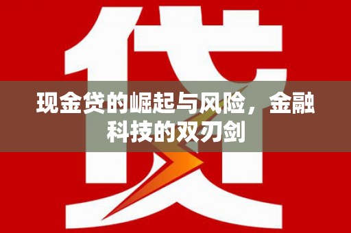 抚远现金贷的崛起与风险，金融科技的双刃剑