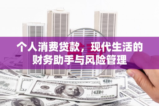 民权个人消费贷款，现代生活的财务助手与风险管理