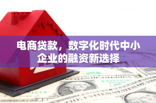 惠济电商贷款，数字化时代中小企业的融资新选择