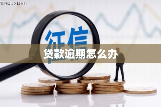 渭源贷款逾期怎么办