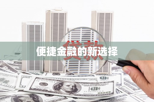 华龙便捷金融的新选择