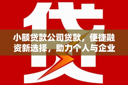 中正小额贷款公司贷款，便捷融资新选择，助力个人与企业成长
