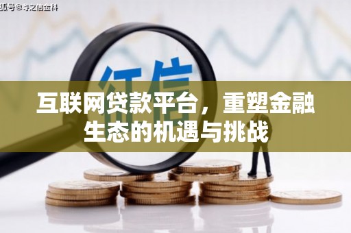 武川互联网贷款平台，重塑金融生态的机遇与挑战