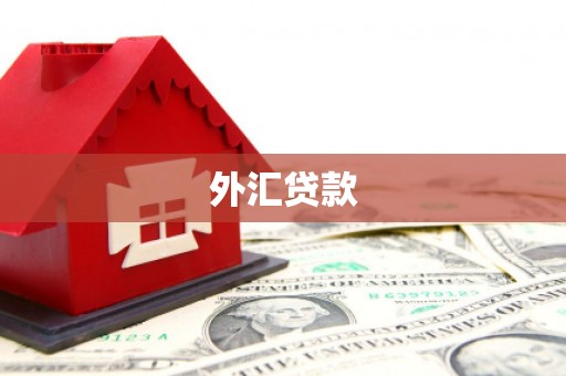 久治外汇贷款