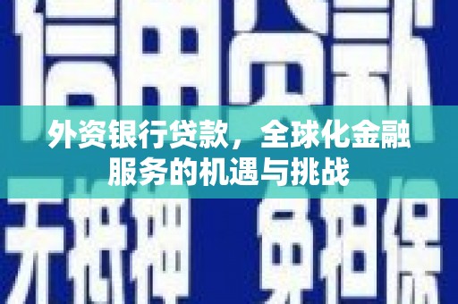 浦东外资银行贷款，全球化金融服务的机遇与挑战