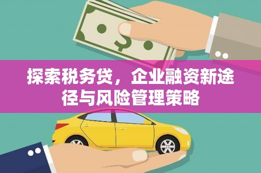 中区探索税务贷，企业融资新途径与风险管理策略