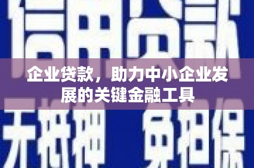 天峨企业贷款，助力中小企业发展的关键金融工具