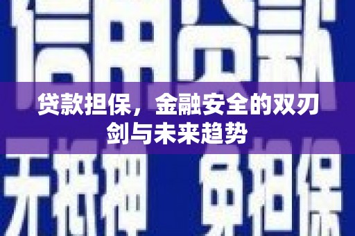 赫山贷款担保，金融安全的双刃剑与未来趋势