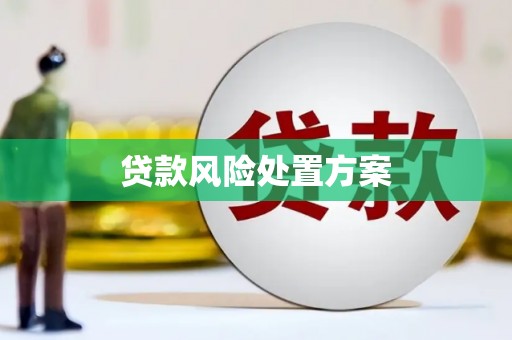 竹东贷款风险处置方案