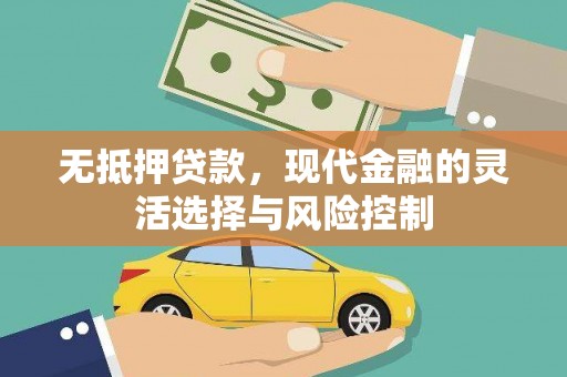 红寺堡无抵押贷款，现代金融的灵活选择与风险控制