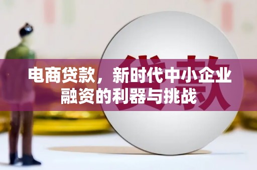 安龙电商贷款，新时代中小企业融资的利器与挑战