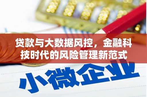 泸溪贷款与大数据风控，金融科技时代的风险管理新范式