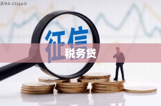 南票税务贷