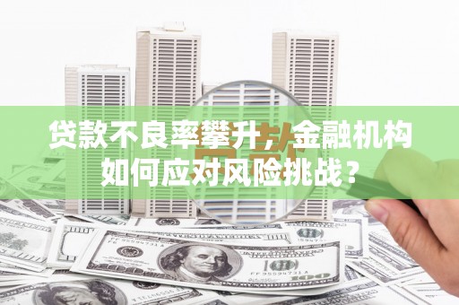 蒙阴贷款不良率攀升，金融机构如何应对风险挑战？