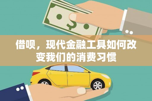 岚皋借呗，现代金融工具如何改变我们的消费习惯