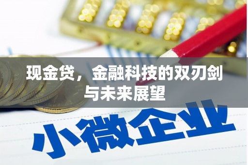 双阳现金贷，金融科技的双刃剑与未来展望