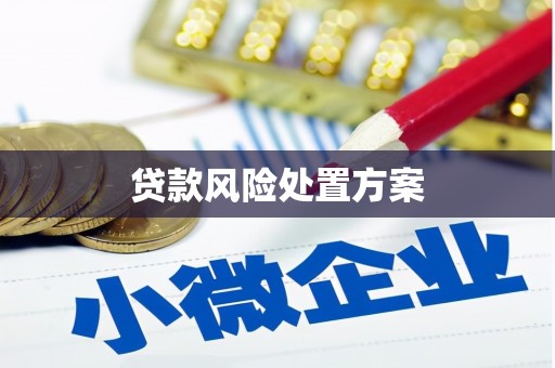 马边贷款风险处置方案