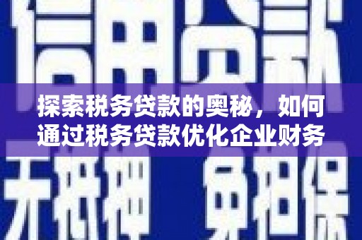 泸溪探索税务贷款的奥秘，如何通过税务贷款优化企业财务
