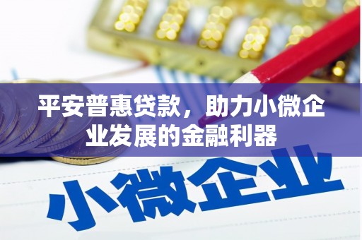 杜集平安普惠贷款，助力小微企业发展的金融利器