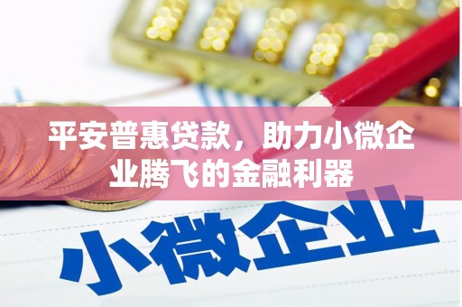 泰顺平安普惠贷款，助力小微企业腾飞的金融利器