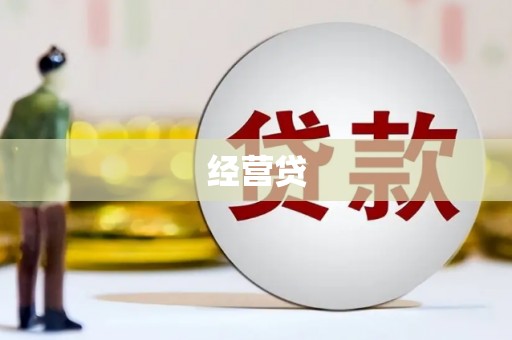 东坡经营贷