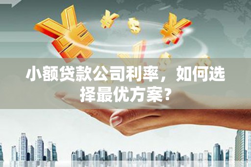 秀山小额贷款公司利率，如何选择最优方案？